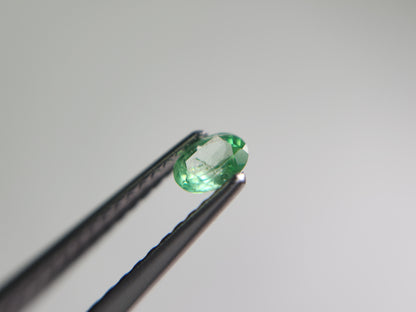 0003-5　コーネルピン　約0.21ct