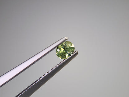 0873-5-3　デマントイドガーネット　0.25ct