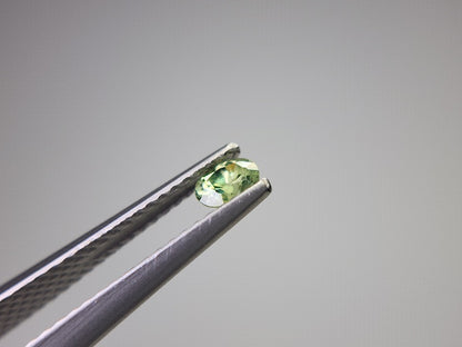 0873-5-3　デマントイドガーネット　0.25ct