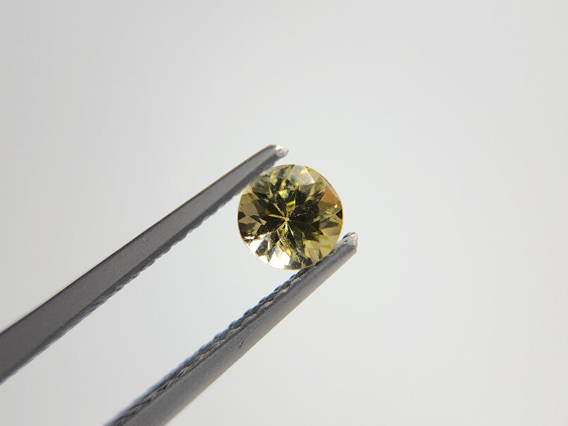 0657-19-2　ゾイサイト　0.49ct