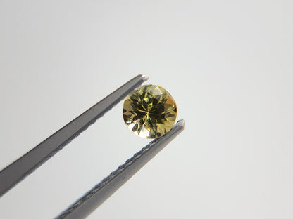 0657-19-2　ゾイサイト　0.49ct