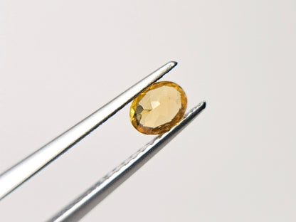 CND-7　コンドロダイト　0.34ct
