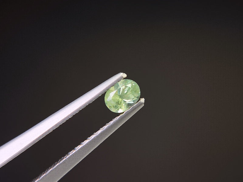 0873-5-4　デマントイドガーネット　0.26ct