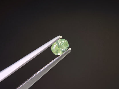 0873-5-4　デマントイドガーネット　0.26ct