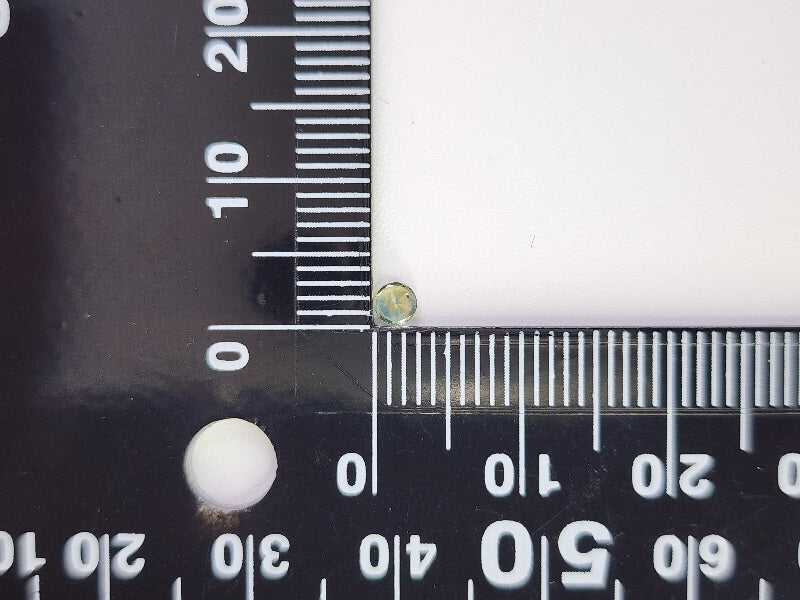 【期間限定】10/31まで　モンタナサファイア　0.14ct　10