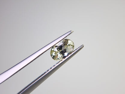0655-9-2　ゾイサイト　0.59ct