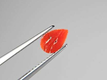 SNG-3　珊瑚　0.84ct