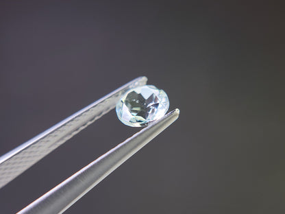 0878-1-6　グリーンベリル　0.50ct