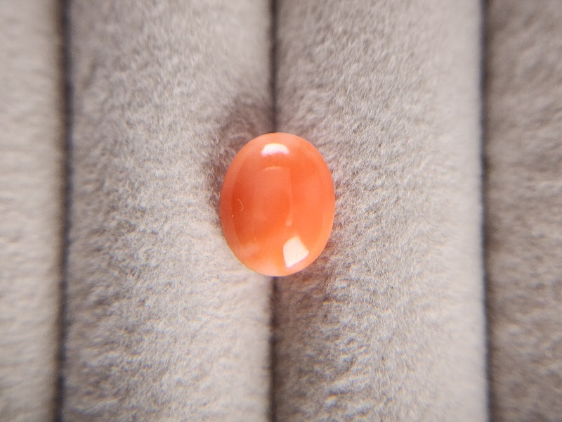 0938-30　珊瑚　2.60ct