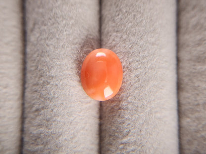 0938-30　珊瑚　2.60ct
