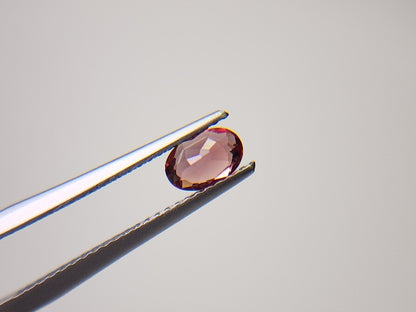 0152-1-13　バイカラーアンデシン　0.49ct