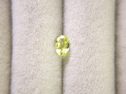 0928-2　パロットクリソベリル　0.50ct