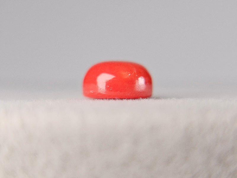 SNG-2　珊瑚　1.64ct