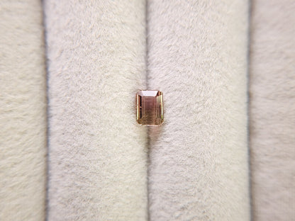 0879-25　トルマリン  0.73ct　