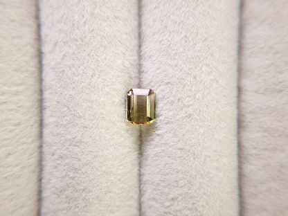 0879-30  トルマリン  0.72ct