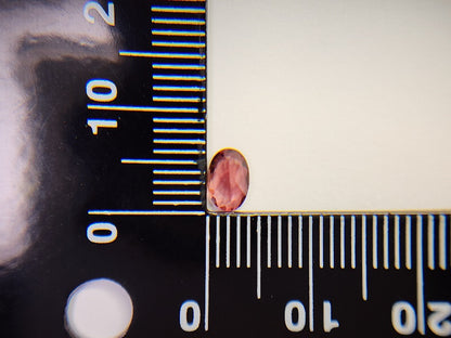 0152-1-13　バイカラーアンデシン　0.49ct