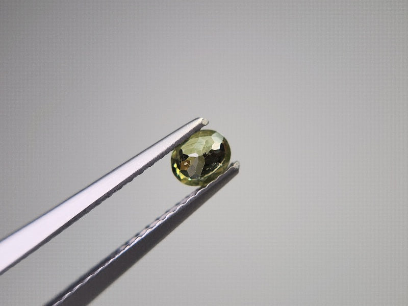 0873-5-2　デマントイドガーネット　0.30ct