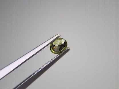 0873-5-2　デマントイドガーネット　0.30ct