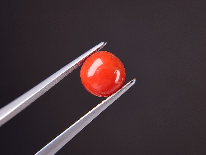 SNG-15　珊瑚　1.34ct