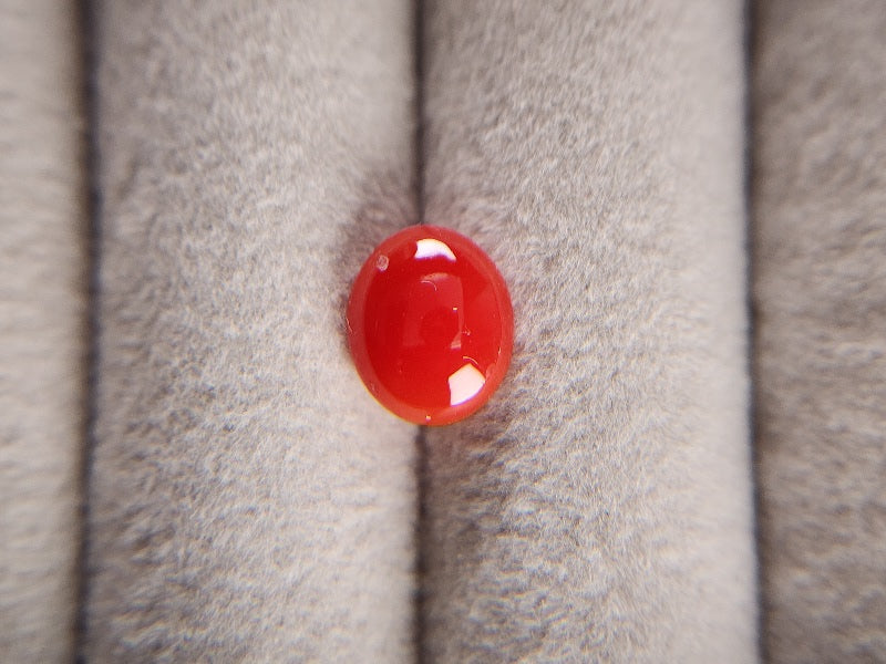 0938-31　珊瑚　1.55ct