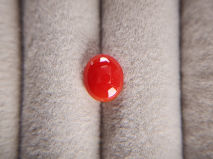 0938-31　珊瑚　1.55ct