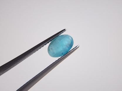 APce-1　アパタイトキャッツアイ　1.59ct