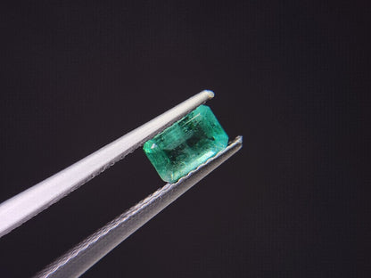 0936-13　エメラルド(ザンビア産)　0.54ct