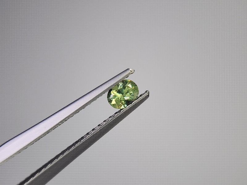 0873-5-3　デマントイドガーネット　0.25ct