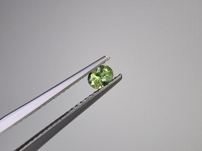 0873-5-3　デマントイドガーネット　0.25ct