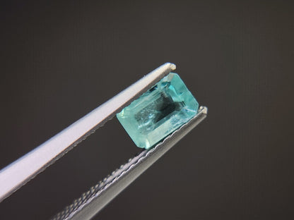 0462-3　アパタイト　0.72ct