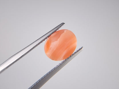 0938-30　珊瑚　2.60ct