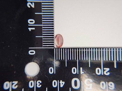 0152-2-2　バイカラーアンデシン　0.33ct