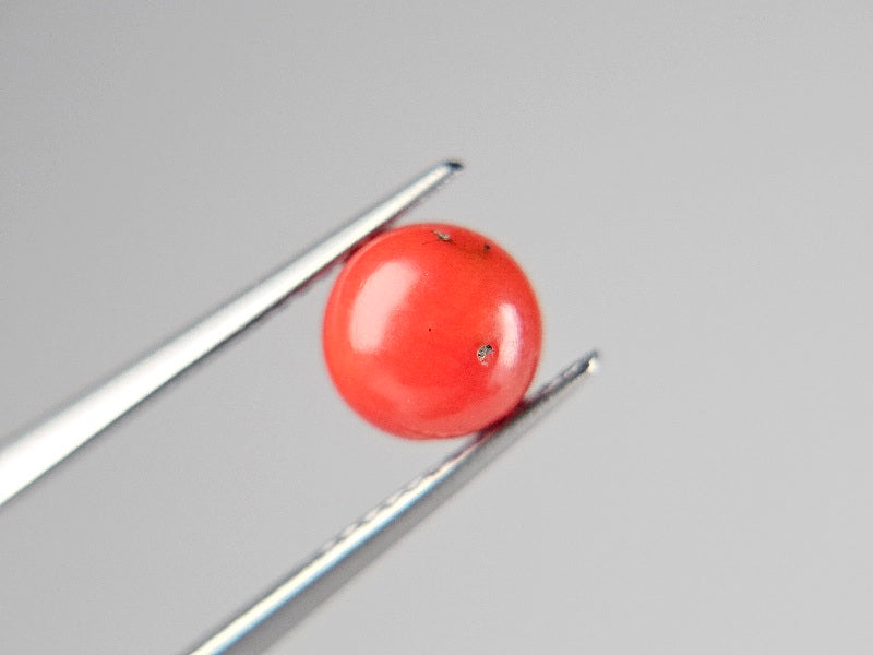 SNG-1　珊瑚　1.77ct