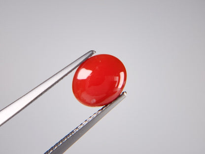 0938-31　珊瑚　1.55ct