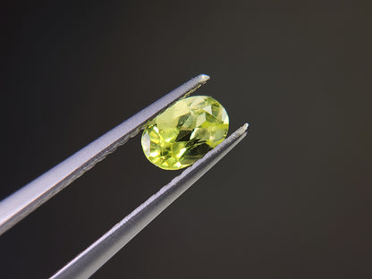 0928-1　パロットクリソベリル　0.55ct
