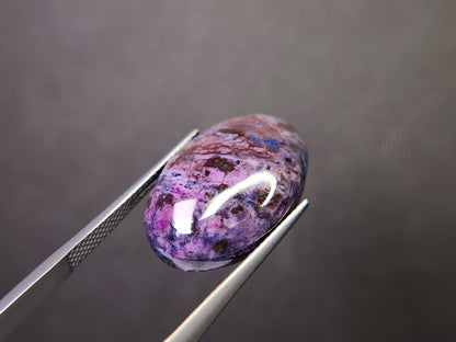 0880-9　スギライト　16.98ct