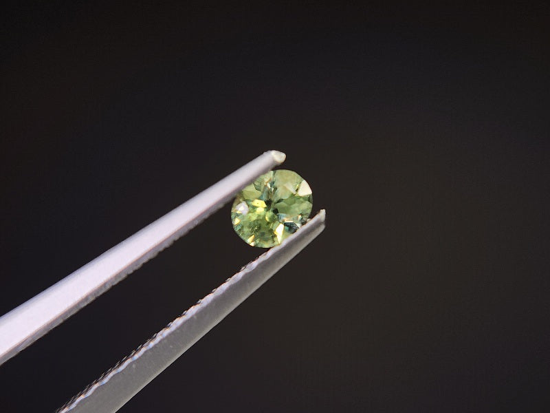 0873-5-3　デマントイドガーネット　0.25ct