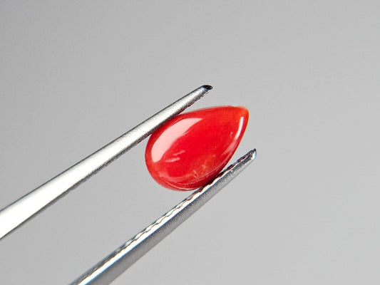 SNG-4　珊瑚　0.77ct