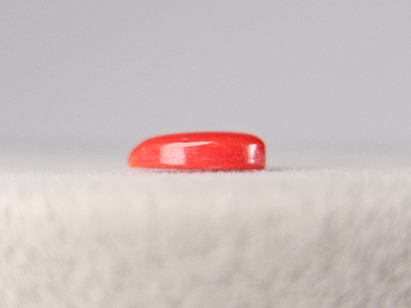 SNG-5　珊瑚　0.76ct