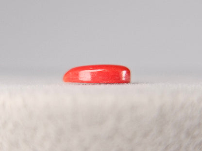 SNG-5　珊瑚　0.76ct