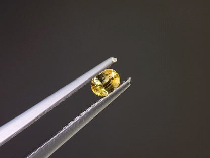 【500円均一】11/17正午まで　イエローサファイア　0.15ct　4