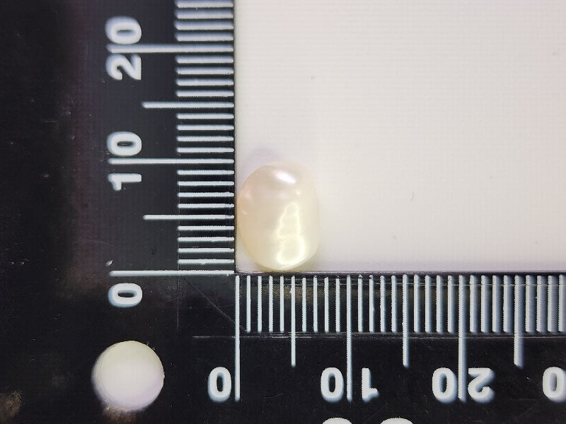 【500円均一】11/24正午まで　淡水パール（穴あき）　2.54ct　2