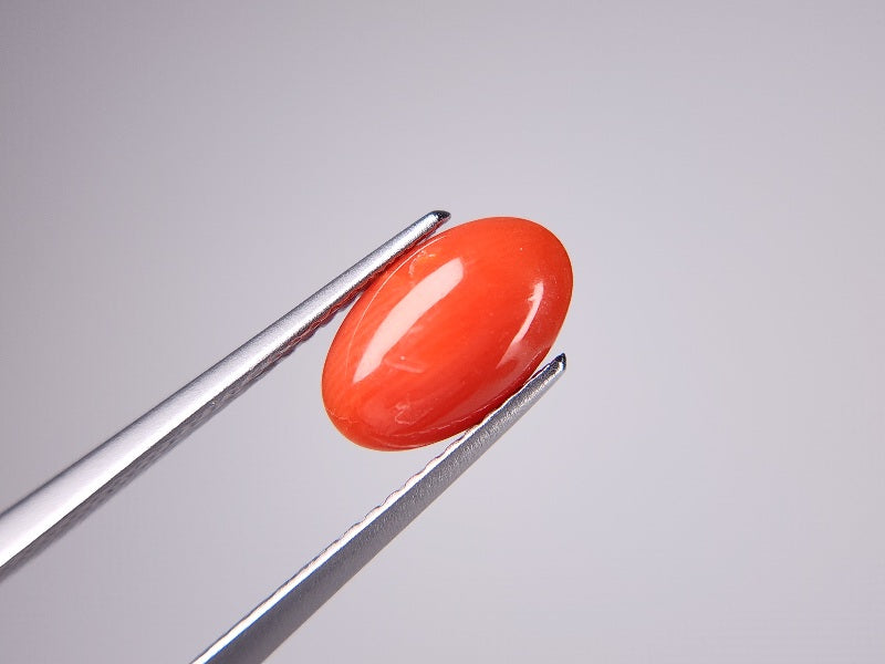 SNG-13　珊瑚　1.38ct