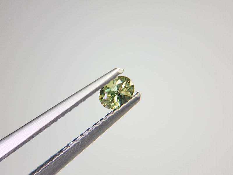 0873-5-1　デマントイドガーネット　0.21ct