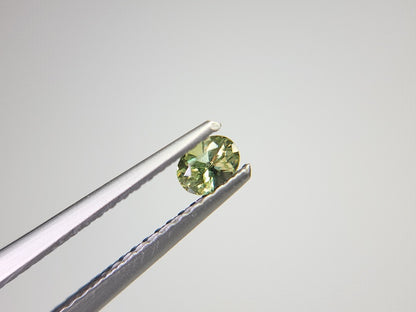 0873-5-1　デマントイドガーネット　0.21ct