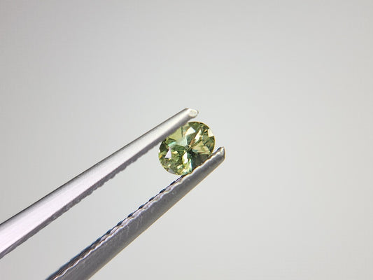 0873-5-1　デマントイドガーネット　0.21ct