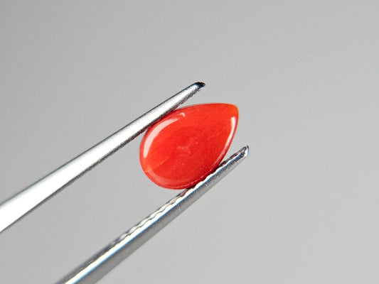 SNG-5　珊瑚　0.76ct