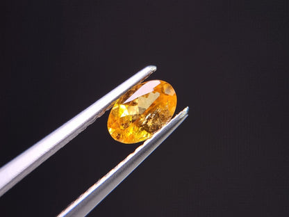 SPGA-6　スぺサルティンガーネット　0.55ct