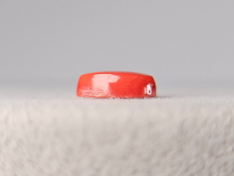 SNG-3　珊瑚　0.84ct