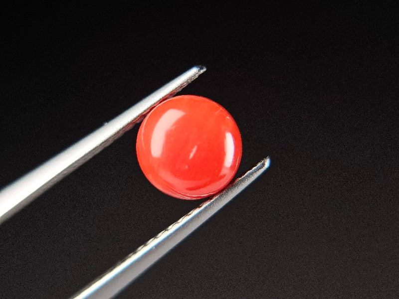 SNG-2　珊瑚　1.64ct